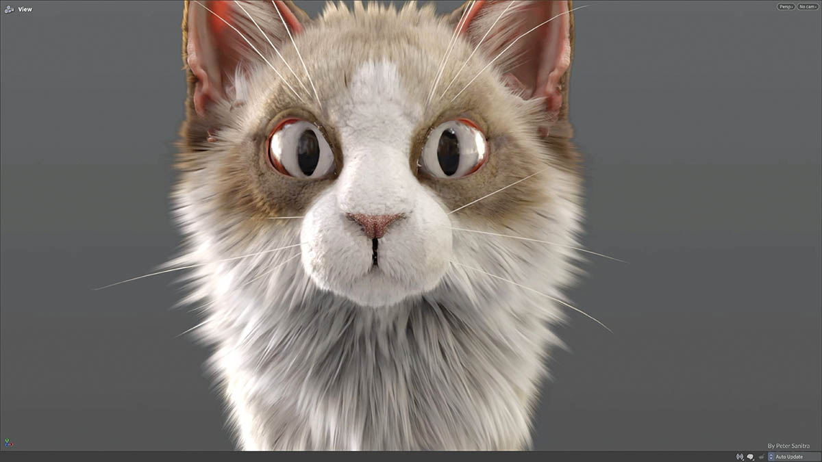 Houdini 22 生成的猫咪 GSplat